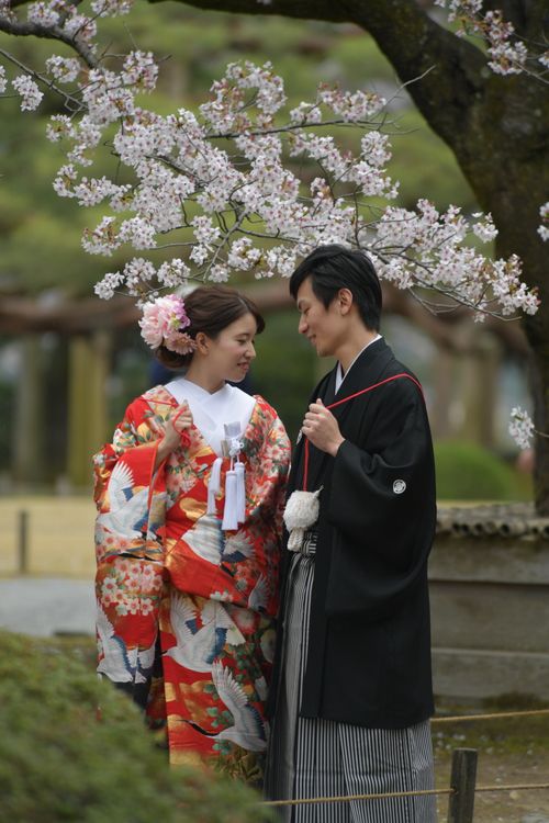 Free Couple in traditional Japanese clothing under cherry blossom in Kanazawa park. Stock Photo