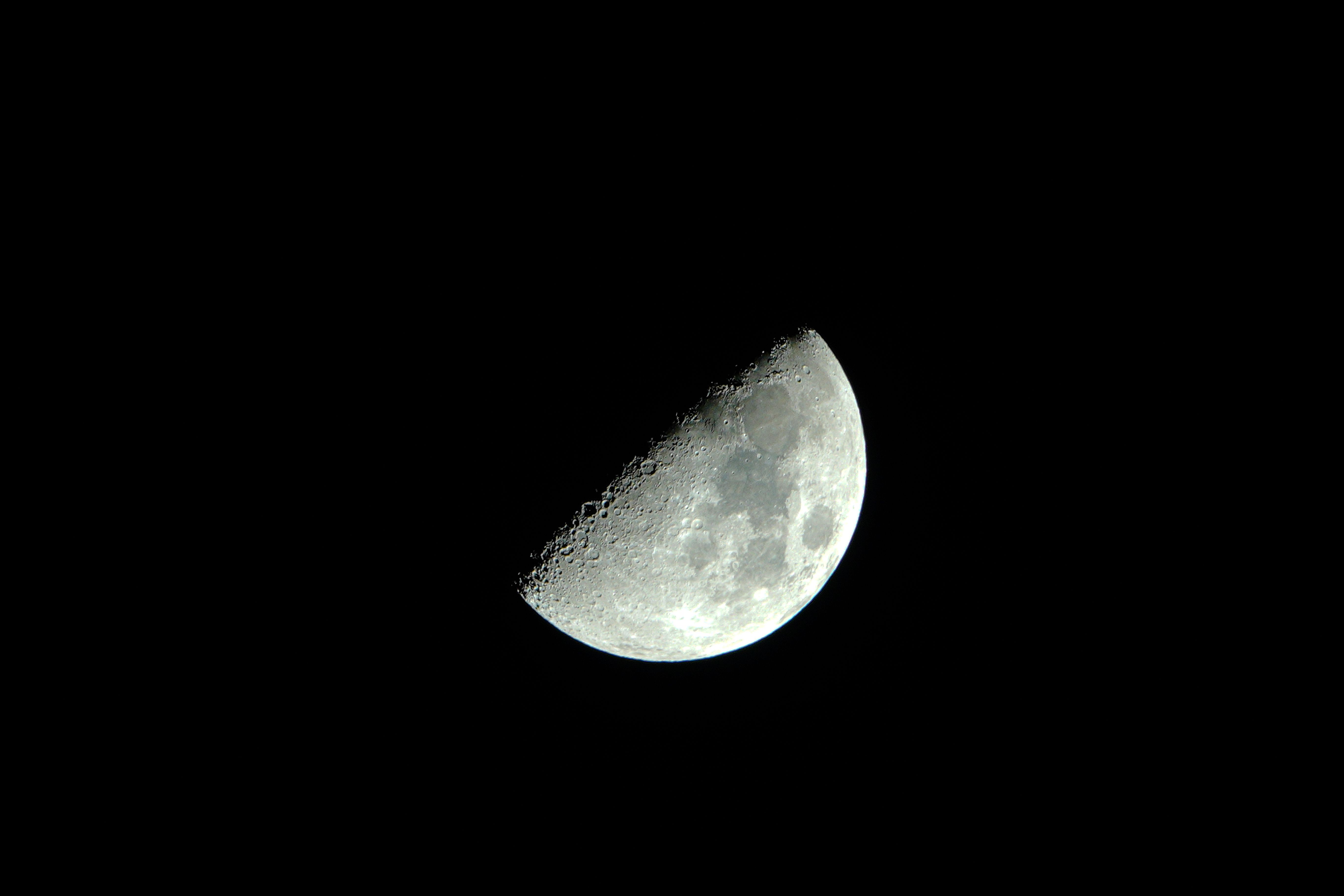 A half moon is seen in the dark sky