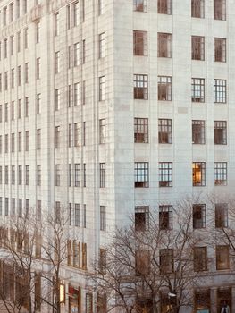 Classic building with grid windows amidst bare winter trees, evoking urban elegance.