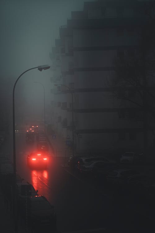 Foto profissional grátis de chuva, edifícios, Fog