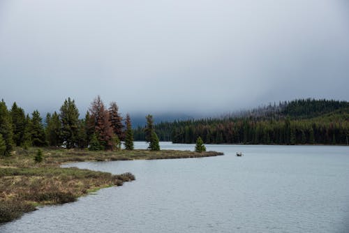 A lake surrounded by trees and a foggy sky