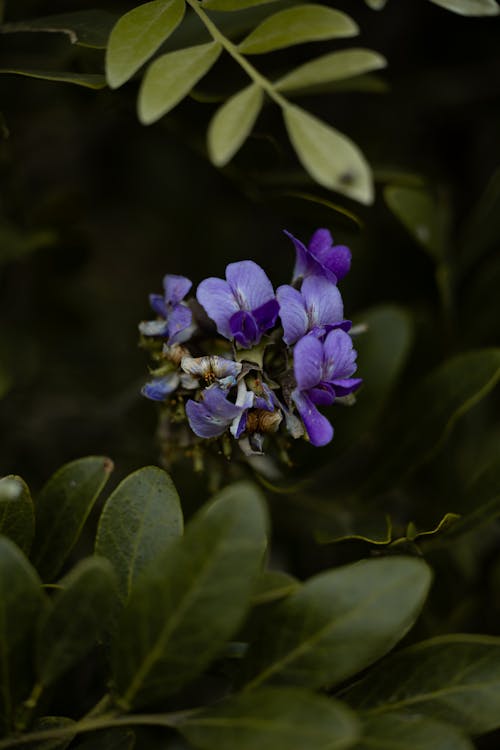 Foto profissional grátis de 4k, amarelo, ao ar livre