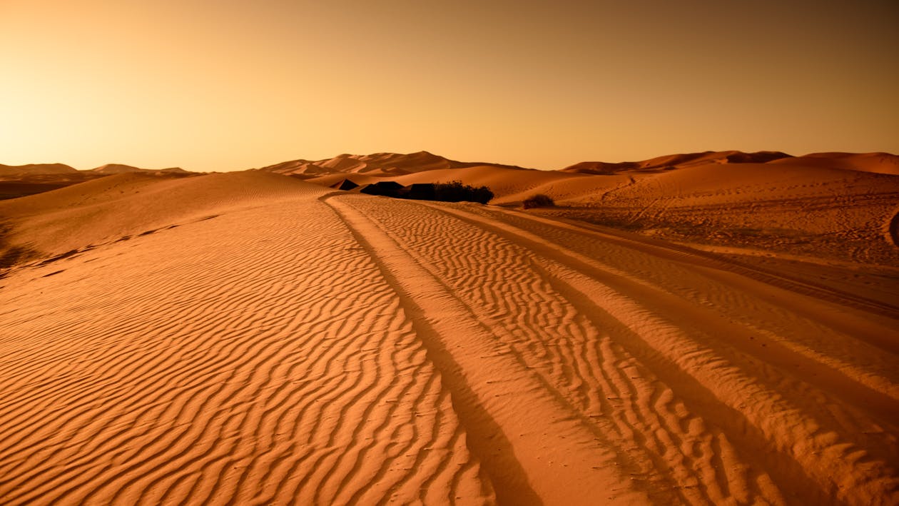 무료 갈색 사막 스톡 사진