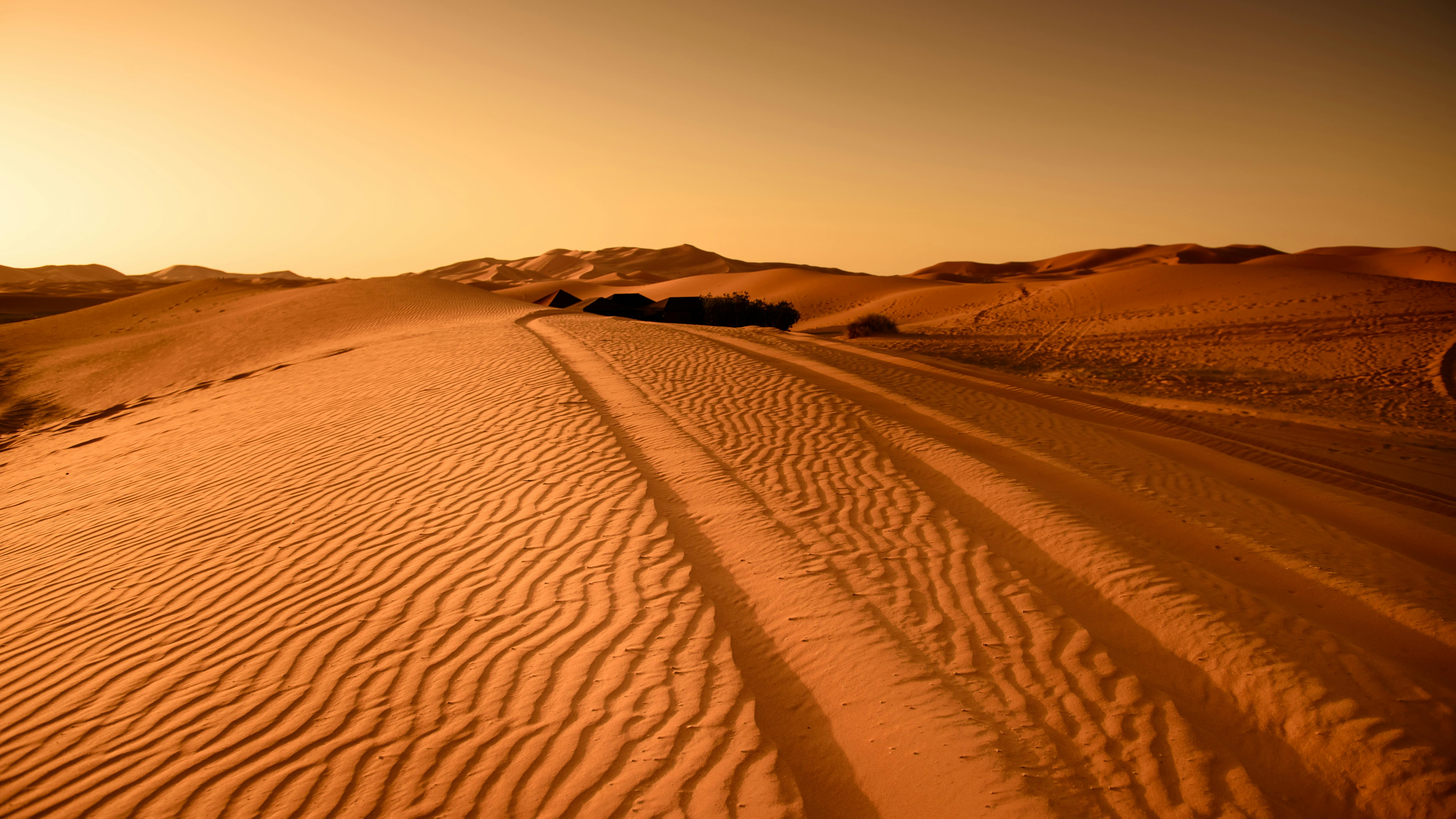 Brown Desert · Free Stock Photo