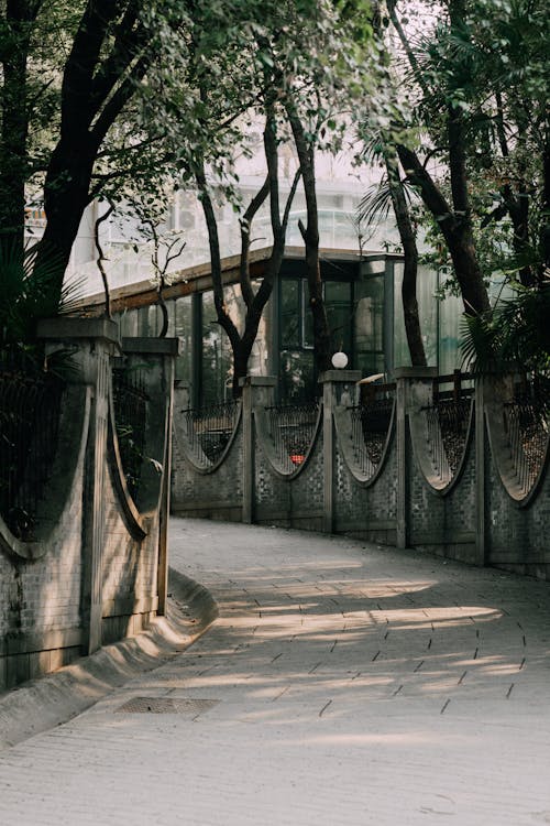 A walkway in a park with trees and bushes