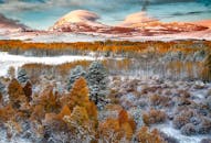 在迷人的天空下，白雪皑皑的山脉与生机勃勃的秋叶相映成趣