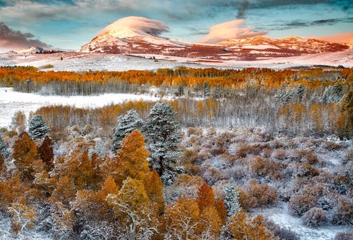 在迷人的天空下，白雪皑皑的山脉与生机勃勃的秋叶交相辉映