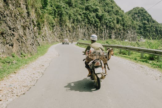 A man rides a motorcycle with a goat on a winding mountain road, showcasing rural travel.