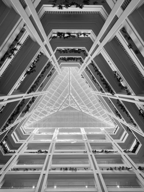 Black and White Photograph of a Modern Building in Perspective