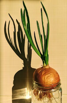 Green onion in a jar casting shadow, in sunlight. Perfect for gardening and fresh food concepts.