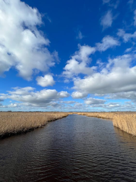 Kostenloses Stock Foto zu außerorts, blauer himmel, fluss