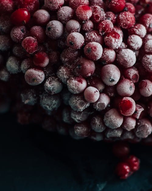 免费 红浆果的选择性聚焦摄影 素材图片