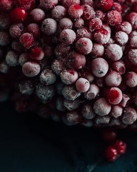 frozen mixed berries image 4