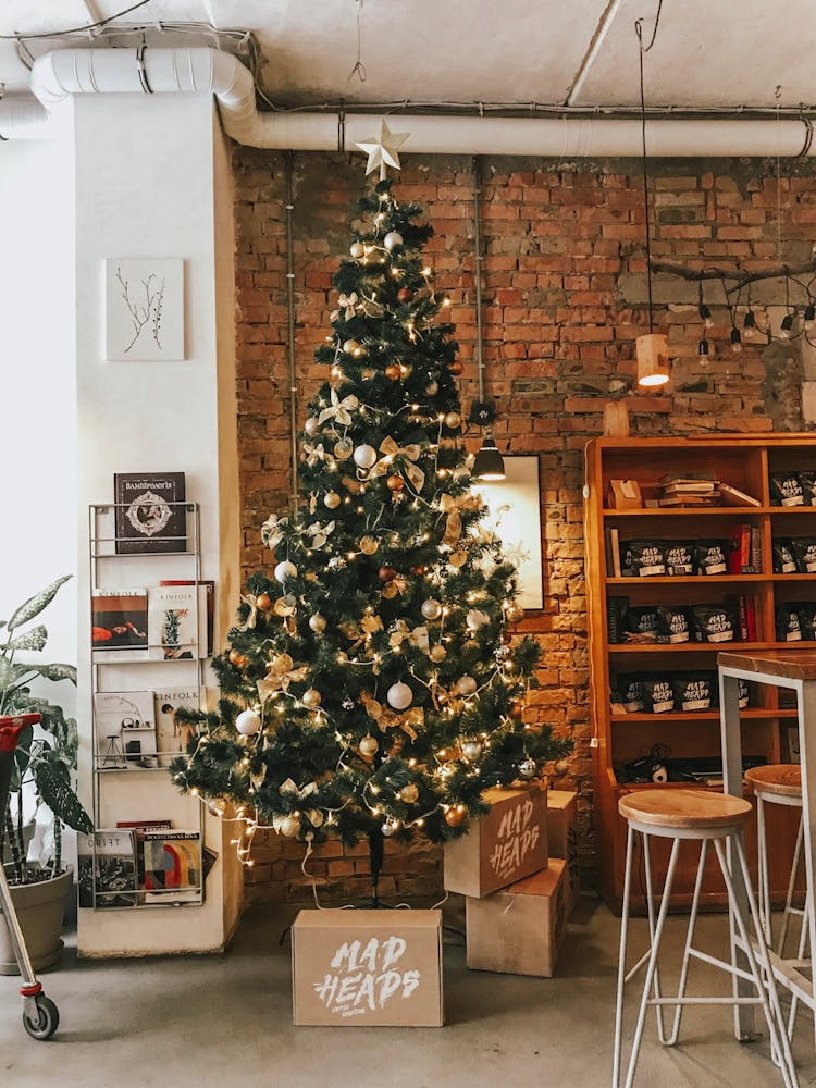 Green And Gold Christmas Tree Near Boxes Inside Room