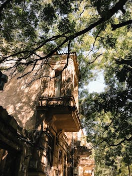 阳光透过树木，洒在传统建筑上，营造出温暖而宁静的场景