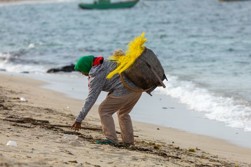 Free A person collecting seashells on a beach with a basket. Captures simplicity of seaside life. Stock Photo