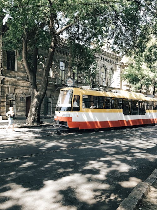 무료 나무와 건물 옆에 노란색, 흰색, 빨간색 버스 주차 스톡 사진