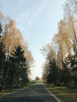 Scenic autumn road through forested landscape in Belarus, showcasing vibrant fall colors under a clear sky.