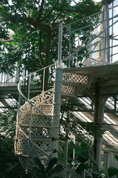 A spiral staircase in a greenhouse with plants