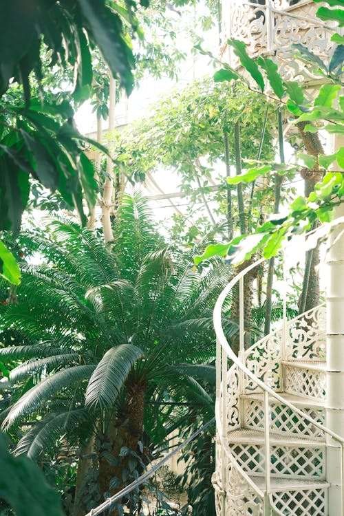 A spiral staircase in a tropical garden
