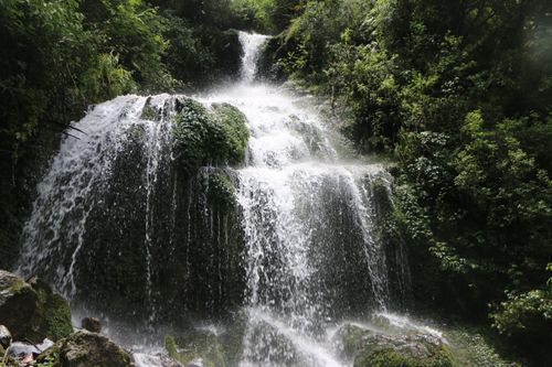 Free A tranquil waterfall cascades over mossy rocks in a verdant forest, capturing nature's beauty. Stock Photo