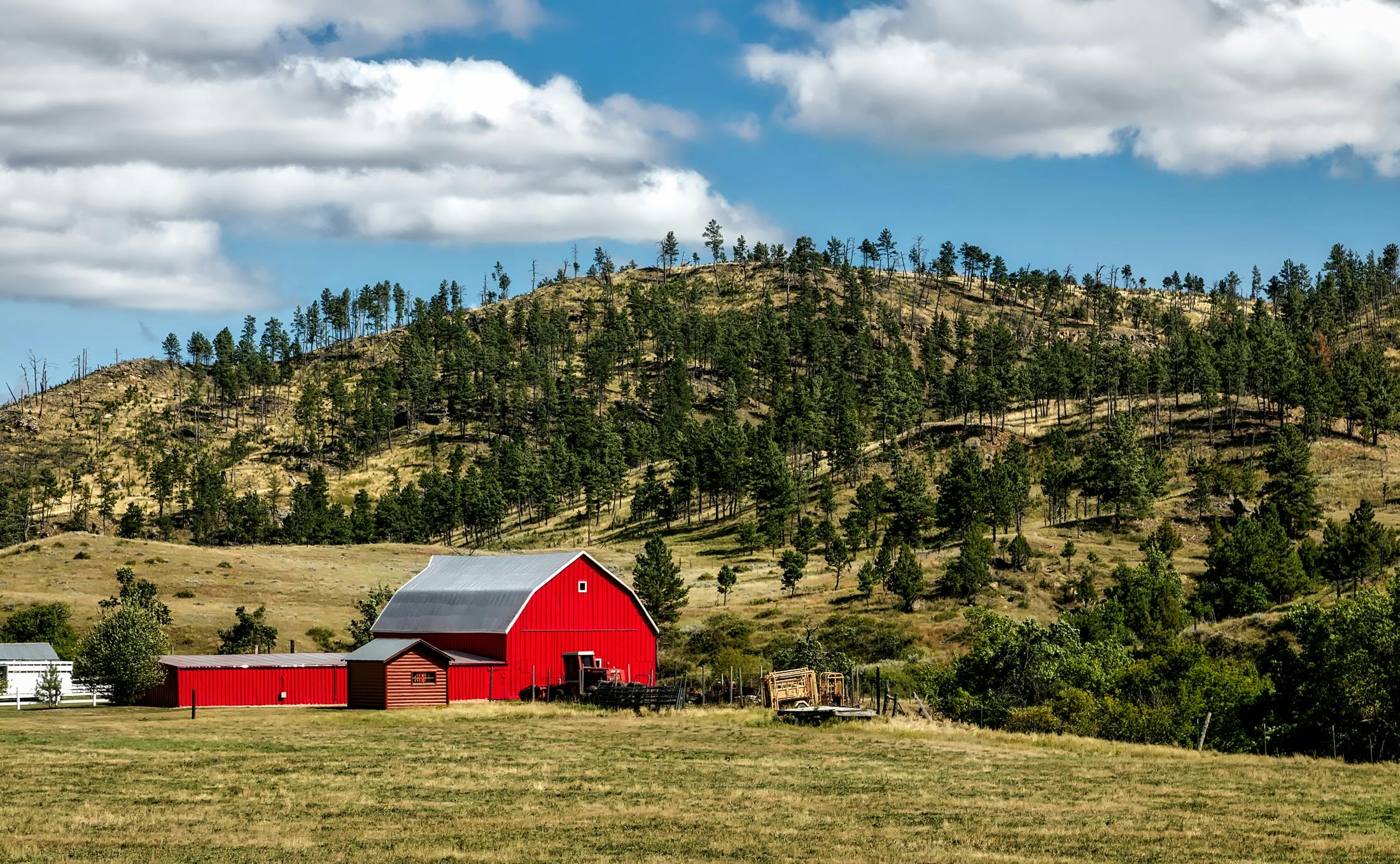 107400 Cattle Ranch Stock Photos Pictures  RoyaltyFree Images  iStock   Texas cattle ranch Cattle ranch usa Cattle ranch montana