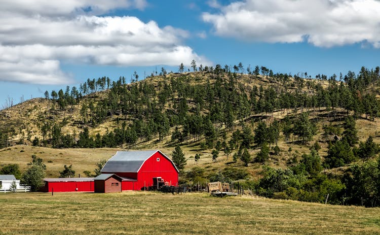 Red Wooden Shed On Farm Land