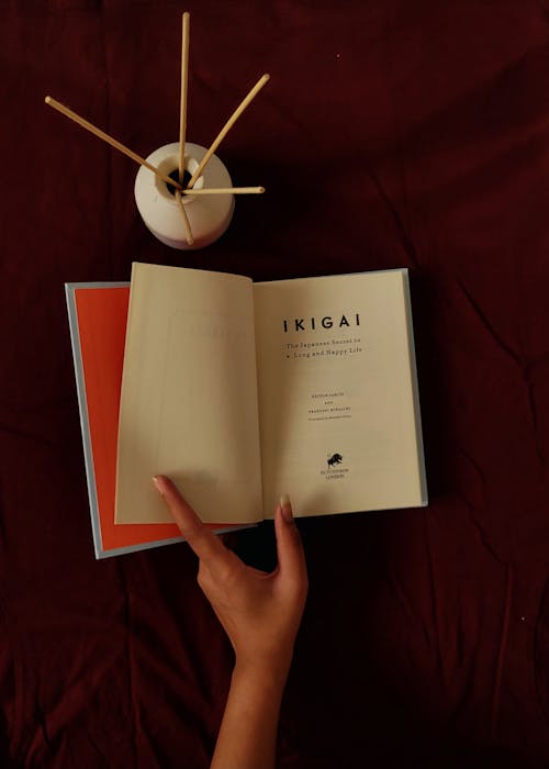 IKIGAI A mysterious word.