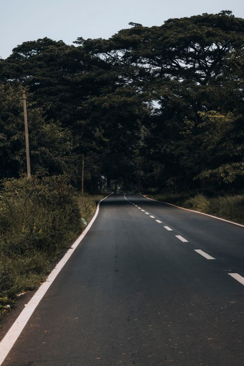 Free Serene road winding through lush forest in Magadi, India, offering a tranquil rural escape. Stock Photo