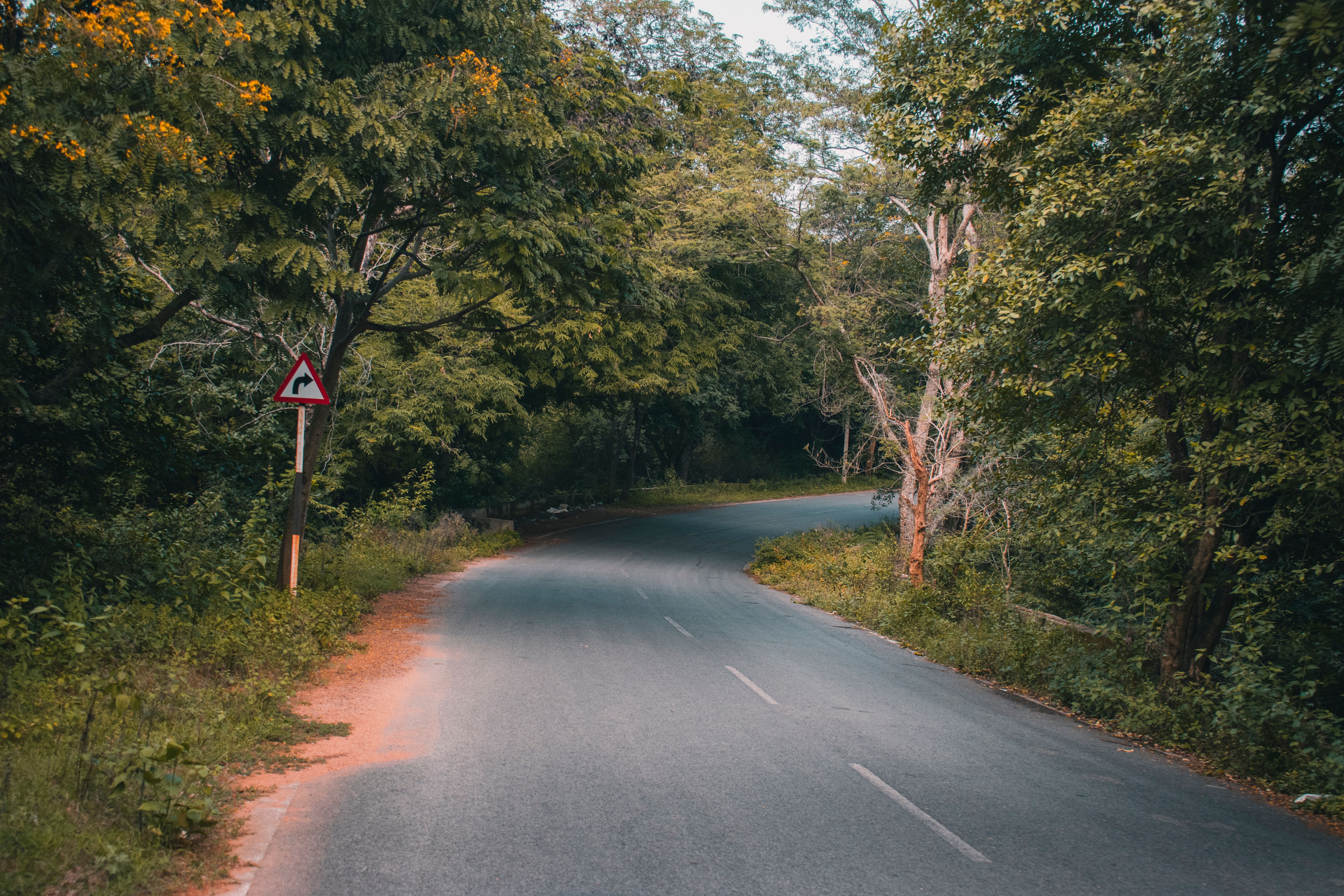 Where to Stay in Coorg: Complete Area Guide