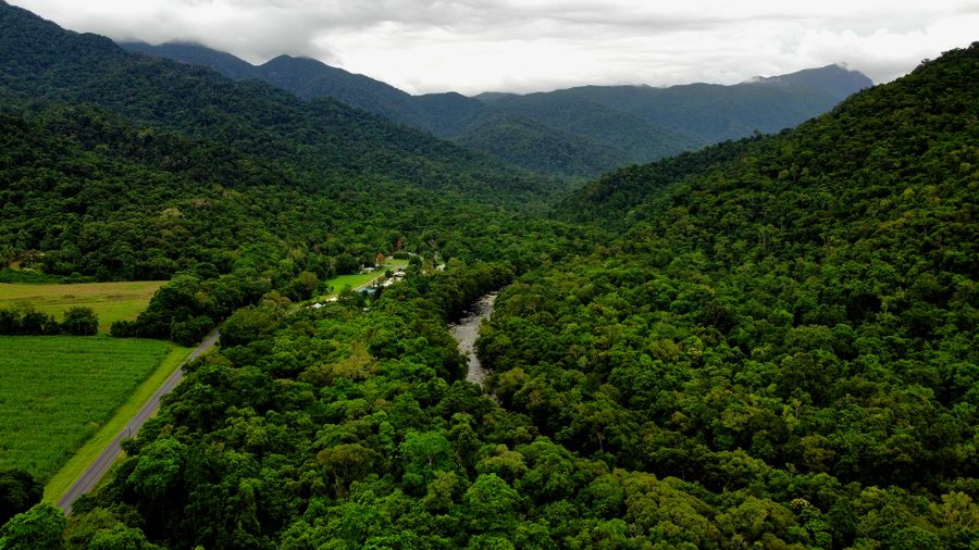 Three days: Cairns, the reef and the Daintree