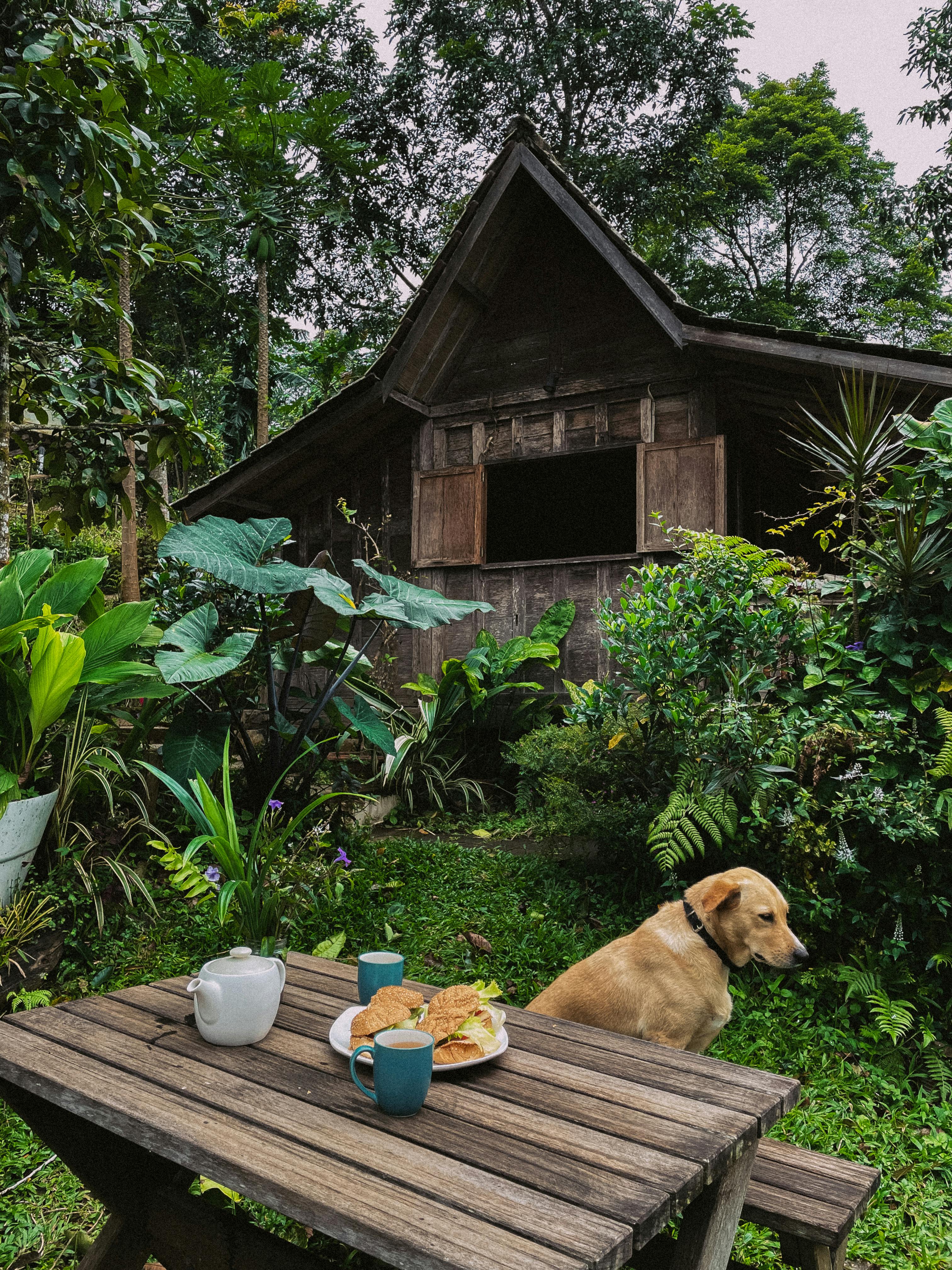 שימושים והפעילויות שניתן לקיים בצימרים עם גינה ירוקה מרווחת