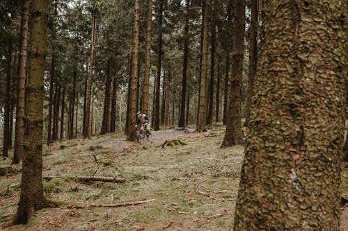 A couple riding bikes through the woods