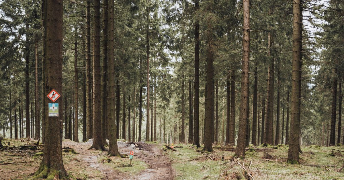 10 Astuces pour un Séjour Écologique en Plein Air