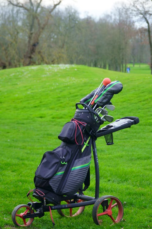 A golf cart with a bag on it in the grass