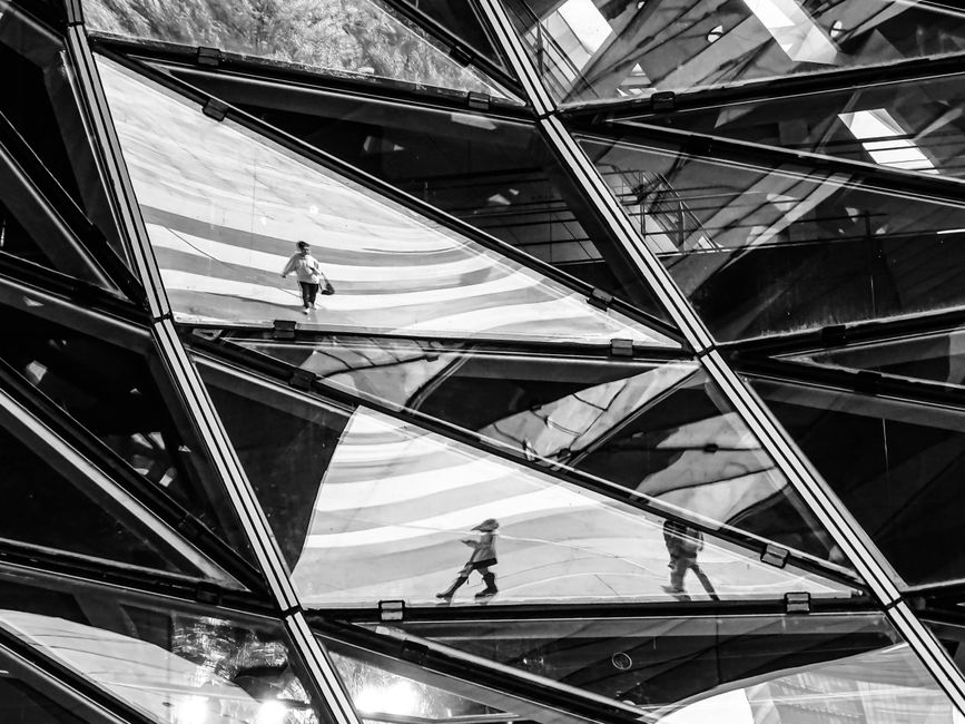 Black and white abstract view of reflections in modern architecture with urban elements.