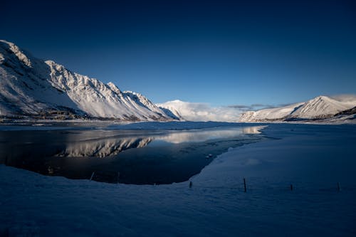 Immagine gratuita di freddo, inverno, lago