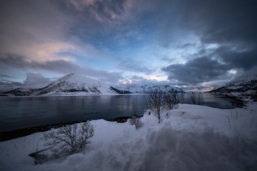 Immagine gratuita di freddo, inverno, lago
