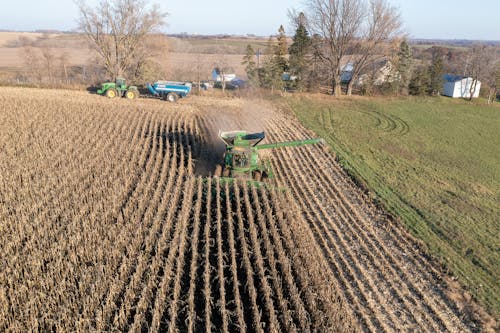 An aerial view of a combine harvesting corn