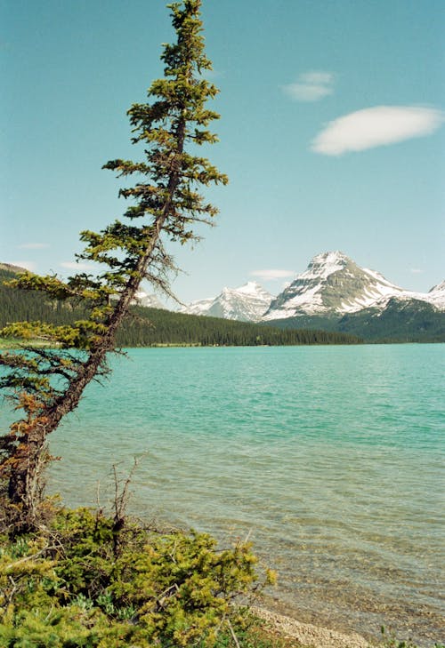 Kostnadsfri bild av banff nationalpark, bergen, glaciärsjön