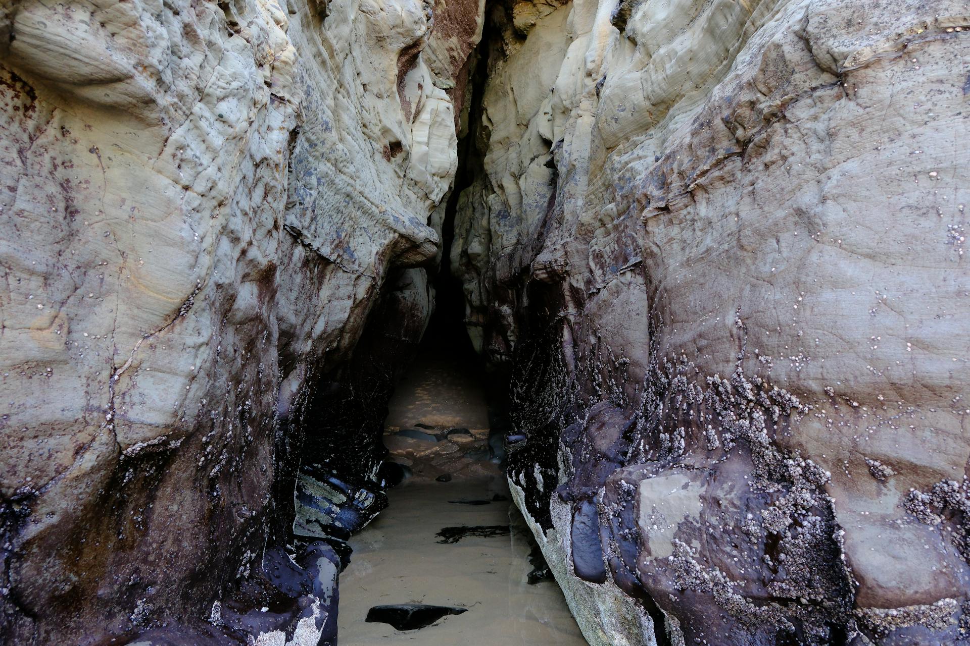 Explore a narrow rocky cave entrance with visible wet path and natural textures.