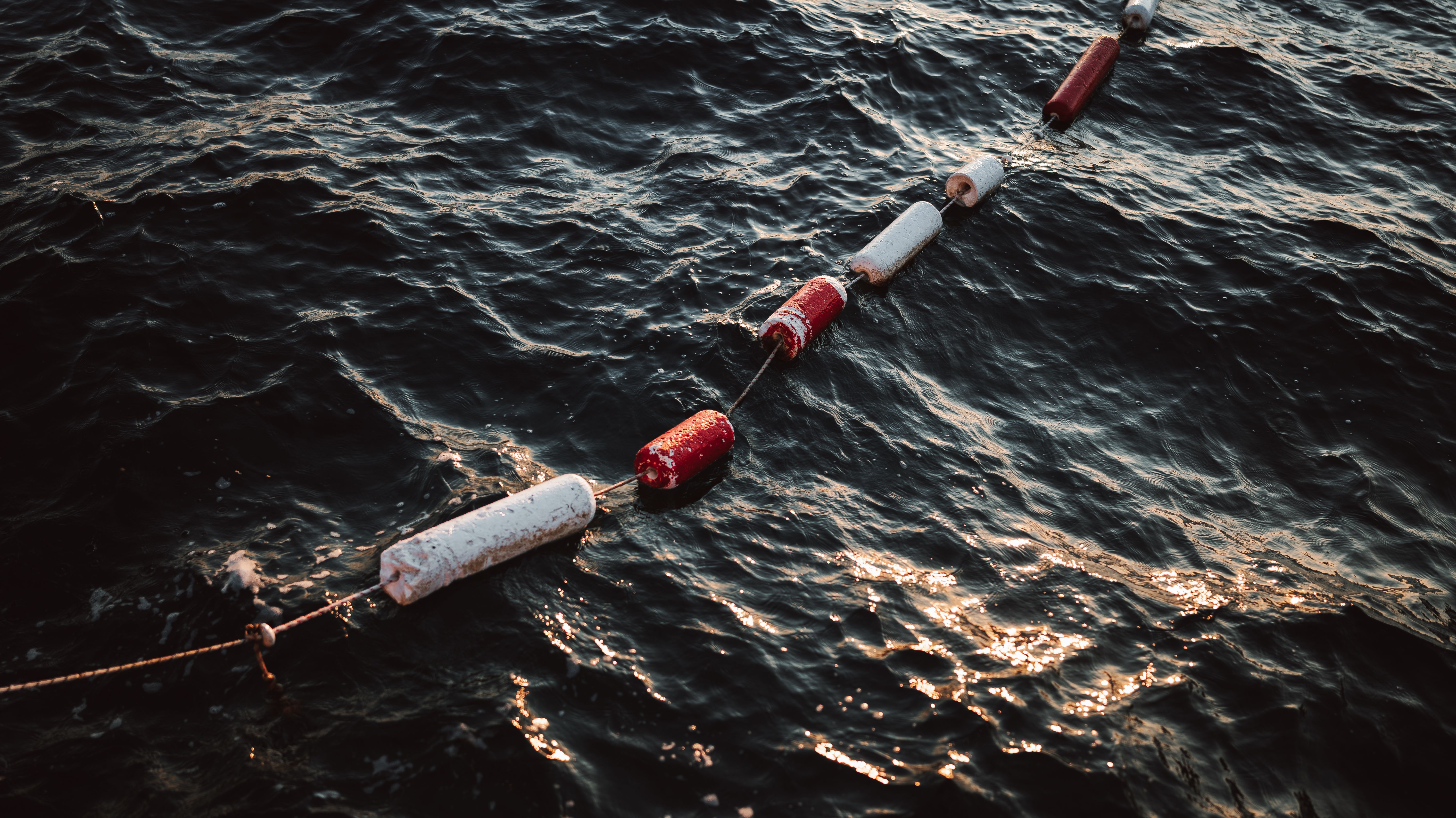 Rope with Buoys on Sea · Free Stock Photo