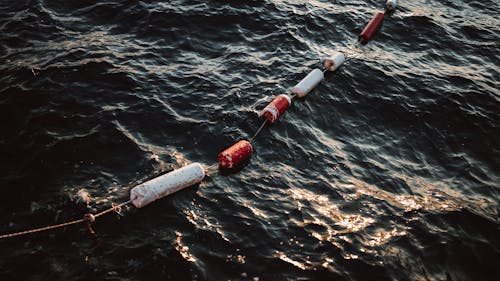 A rope with buoys floating in the ocean