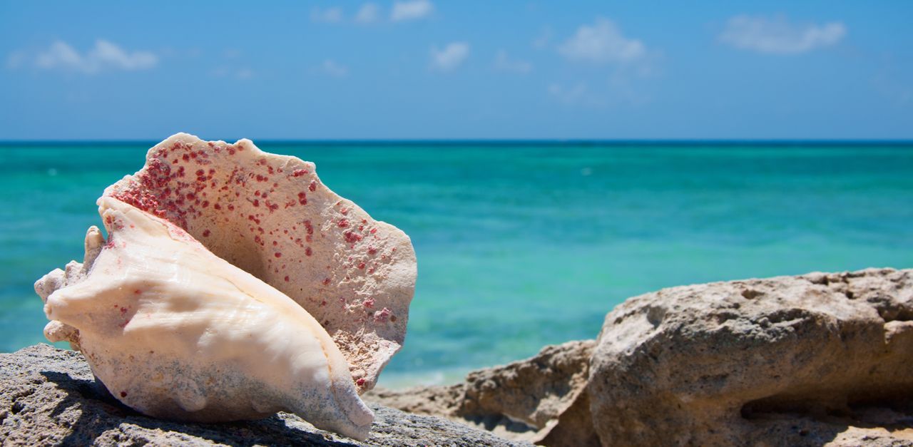 Providenciales