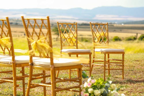 Wedding chairs with yellow ribbon and flowers