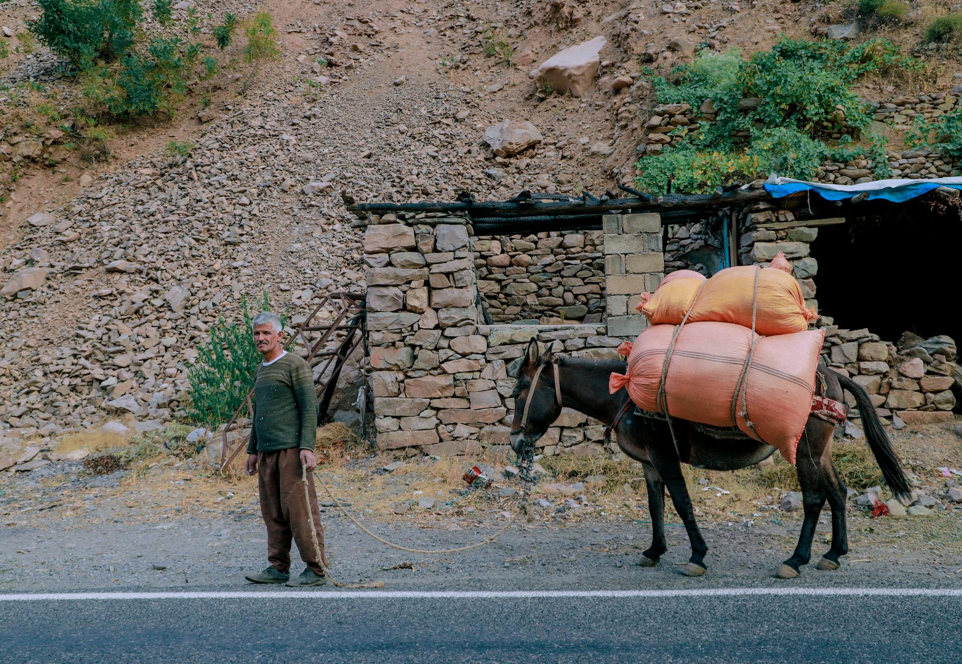 Man with Donkey on Road in Village