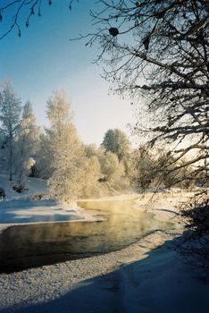 Tranquil winter scene with a snowy river, trees, and sunlight casting soft shadows.