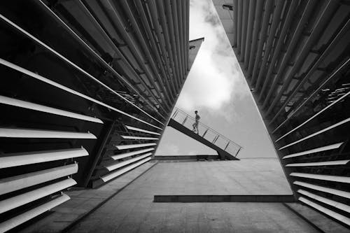 Foto d'estoc gratuïta de blanc i negre, caminant, edifici