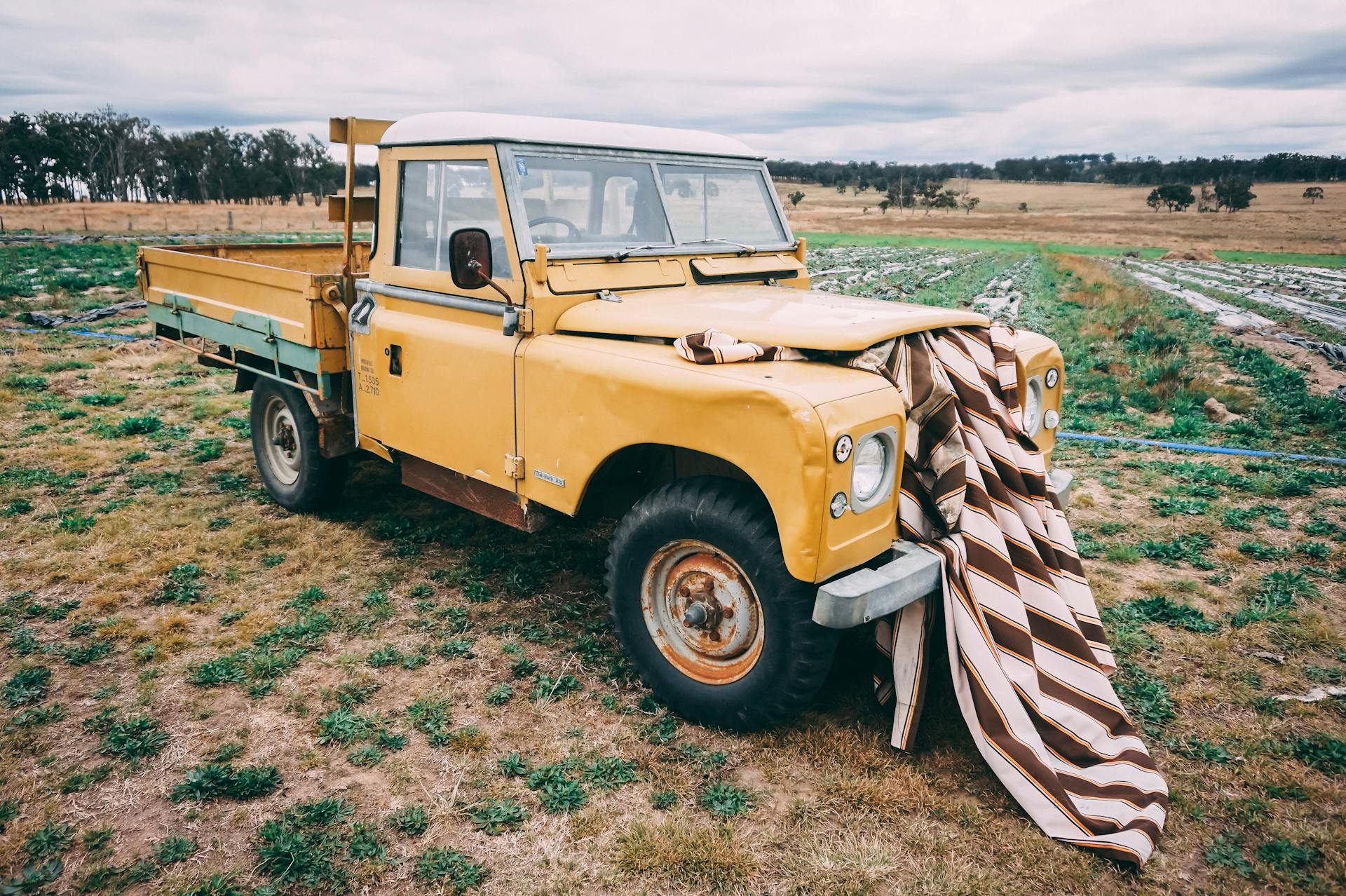 Yellow Dropside Truck on Field