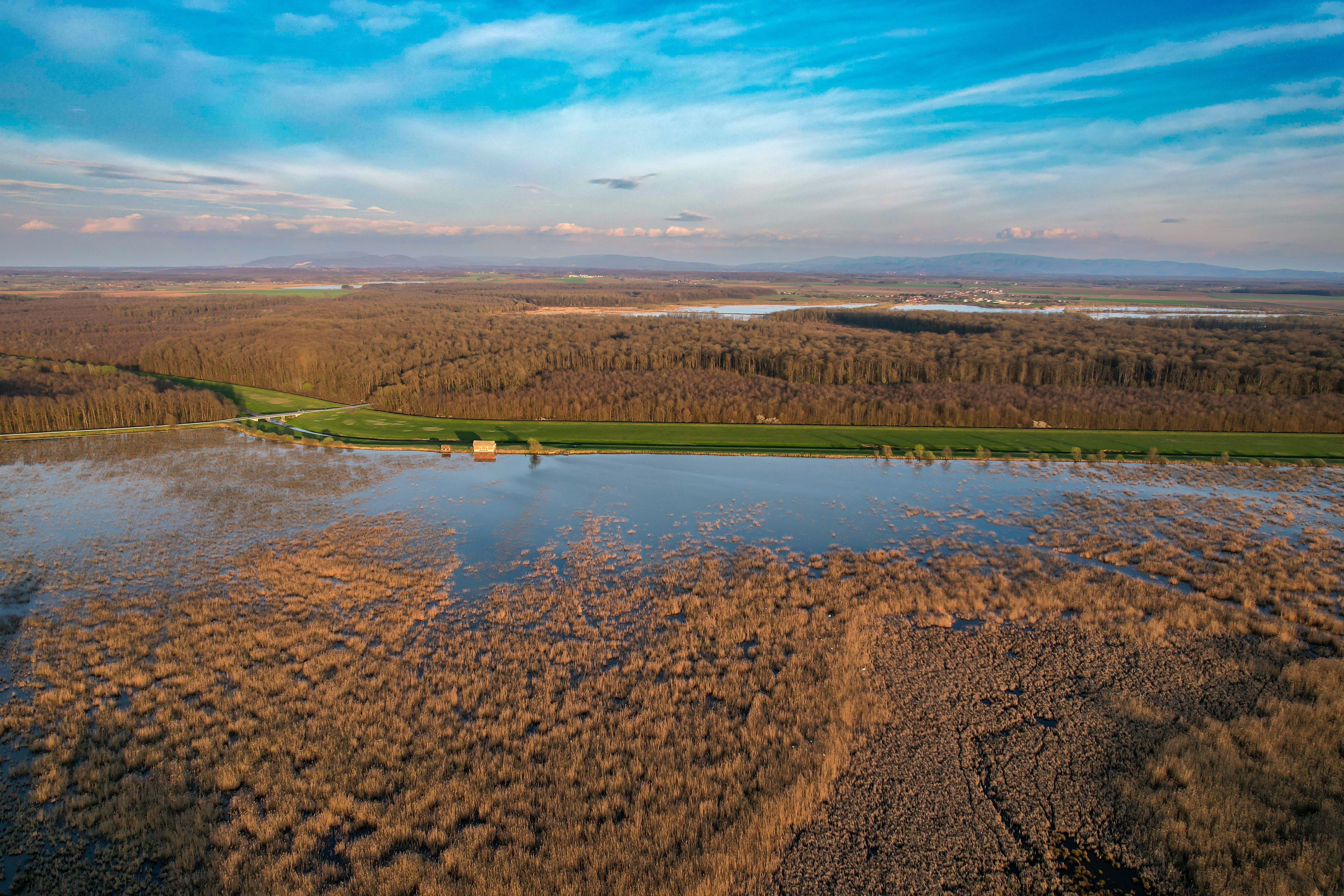 An aerial view of a marsh and a river · Free Stock Photo